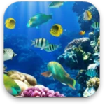 ocean android application logo